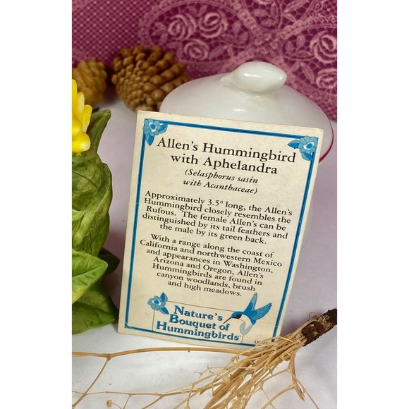 Allen's Bronson Collection, Hummingbird with Aphelandra Flower, looks so natural - Picture 7 of 16